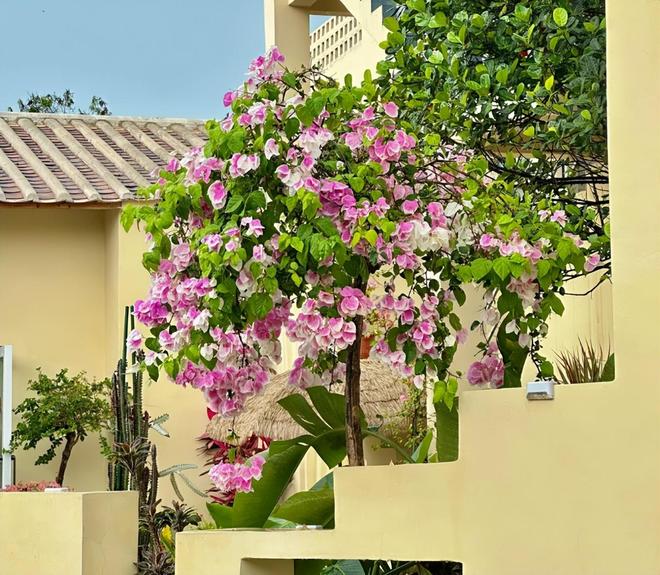 北海亲子游5天4晚价格跟团五日游报价pg电子入口北海亲子跟团游多少钱？(图2)